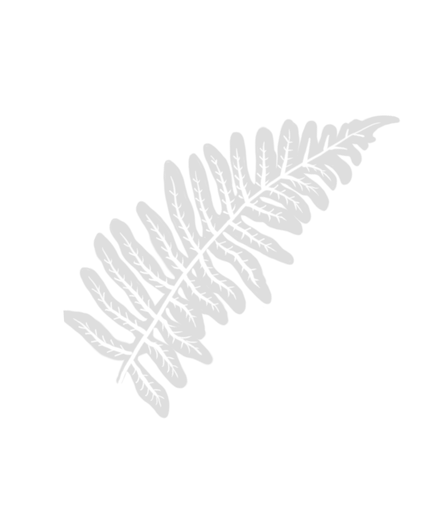 Fern design
